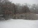 2008-12-07_First_Snow 035